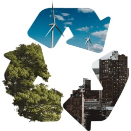 Gestione Ambiente Italia - 15 anni di esperienza